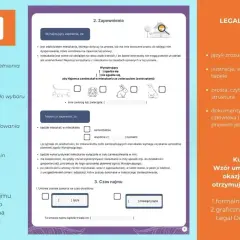 Wzór umowy najmu okazjonalnego, wersja graficzna Legal Design. Zapewnienia wynajmującego i najemcy, w tym dotyczące zwierząt, z opcją pit-28 ryczałt.