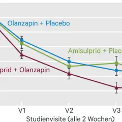 Verlauf der PANSS-Gesamtveränderung. Amisulprid + Olanzapin zeigt die stärkste Reduktion.