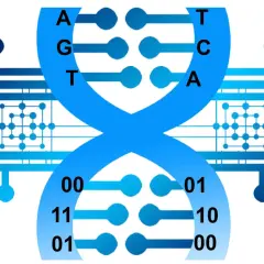 Die DNA-Doppelhelix wird mit digitalen Schaltkreisen und Binärcode dargestellt, was die Idee von DNA als Speichermedium veranschaulicht.