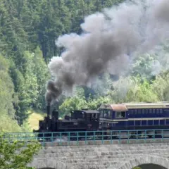 Parowóz z wagonami na kamiennym wiadukcie. Kolej izerska z biletami zaprasza na malowniczą podróż przez las.