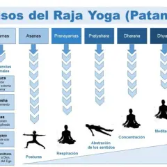 Los 8 pasos del Raja Yoga de Patanjali: Yamas, Niyamas, Asanas, Pranayamas, Pratyahara, Dharana, Dhyana y Samadhi, ilustrando la filosofía del yoga.