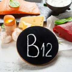Rinderhack, Lachs, Käse, Ei, Pilze, Joghurt und Milch – alles reich an Vitamin B12 für Energie und Nerven.