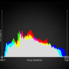 Histogram co to? Wykres pokazuje rozkład jasności tonów na zdjęciu, od czerni (0) do bieli (255).