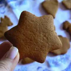 Gwiazdka i zwierzątka z ciasta piernikowego, czyli pyszne szwedzkie pierniczki.