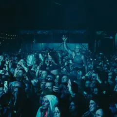 Tłum ludzi na koncercie, jedna kobieta z podniesioną ręką, światła sceniczne.