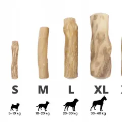 Naturalne patyki z drzewa kawowego dla psów, od XS do XXL. Idealne dla każdej rasy i wagi.