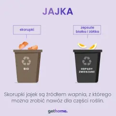 Wytłaczanki na jajka: gdzie wyrzucić? Papier, plastik, styropian