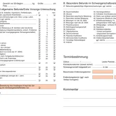 Formular zur Erfassung von Schwangerschaftsdaten, u.a. Anamnese und besondere Befunde im Schwangerschaftsverlauf.