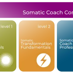 Somatic Coach Complete program outlines three levels: Somatic Practice Essentials, Somatic Transformation Fundamentals, and Somatic Coach Professional, for somatic coaching certification.