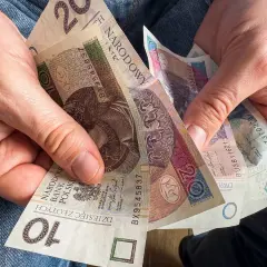 Kuroniówka po studiach? Sprawdź warunki i wsparcie z urzędu pracy