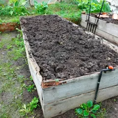 Upphöjd bädd med mörk, näringsrik jord, redo för plantering. En vattenslang är ansluten.