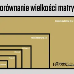 Porównanie wielkości matryc: od średniego formatu, przez pełną klatkę, po mniejsze APS-C, 4/3 i 1".