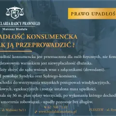 Grafika przedstawia nagłówek "Upadłość konsumencka - jak ją przeprowadzić?" na tle dłoni trzymającej tablet.