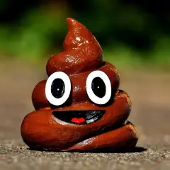 Uśmiechnięty emoji kupy, przypominający wygląd kupy psa, z wielkimi oczami i otwartymi ustami.