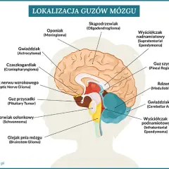 Zaburzenia OUN: objawy, które powinny zapalić czerwoną lampkę