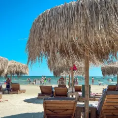Słoneczne rumuńskie wakacje nad Morzem Czarnym. Leżaki i parasole z trawy na piaszczystej plaży, w tle ludzie kąpiący się w morzu.