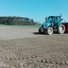 Kiedy siać zboże, aby uniknąć błędów i zapewnić udane plony