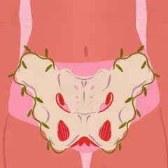 Ilustracja miednicy z pnączami symbolizującymi powrót do zdrowia. Fizjoterapia pomaga w problemach z nietrzymaniem moczu.