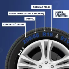 Opona 205/55 R16 91V do Opla Insignii. Wyjaśnienie oznaczeń: szerokość, profil, rozmiar felgi, indeks nośności i prędkości.