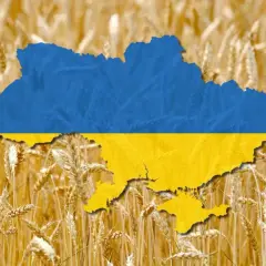 Carte de l'Ukraine aux couleurs du drapeau, superposée sur un champ de blé doré. L'image évoque la richesse agricole et la production de blé de l'Ukraine, un classement mondial important.