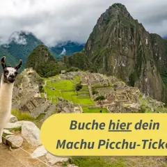 Ein Lama blickt neugierig in die Kamera, Machu Picchu im Sacred Valley, Peru, im Hintergrund. Buche hier dein Ticket!