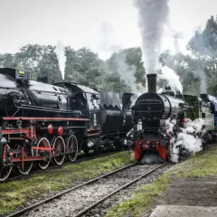 Parowóz z Poznania wyrusza w podróż do Wolsztyna, wypuszczając kłęby dymu.