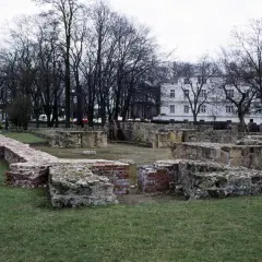 Ruiny zamku w Wieluniu, kamienne i ceglane fundamenty na trawiastym terenie, w tle drzewa i biały budynek.