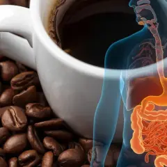 Kaffee und Verdauungstrakt. Die Frage welcher Kaffee ist magenschonend wird visuell thematisiert.