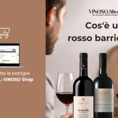 Scopri il significato di "barricato" con i vini rossi di VINOSO.Shop. Acquista online le migliori bottiglie consigliate.