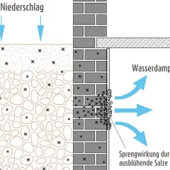 Darstellung, was bedeutet hygroskopisch: Niederschlag sickert in den Boden, Wasserdampf steigt aus der Wand auf und verursacht Sprengwirkung durch ausblühende Salze.