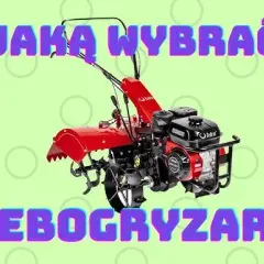 Jaką glebogryzarkę wybrać do ciągnika T25: najlepsze parametry i rodzaje