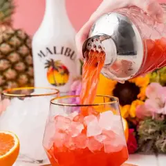 Orzeźwiający drink z malibu, nalewany z shakera do szklanki z lodem. W tle ananas, butelka Malibu i kwiaty.