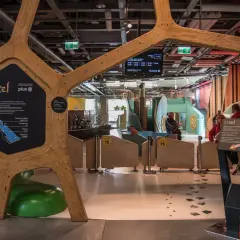 Wesoła ekspozycja "Bzzz!" w Centrum Nauki Kopernik dla dzieci do lat 5, pełna interaktywnych ścieżek i kolorowych atrakcji.