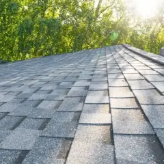 A close-up view of a grey asphalt shingle roof, showing the texture and pattern of the coating. Lush green trees are visible in the background, with sunlight filtering through the leaves.