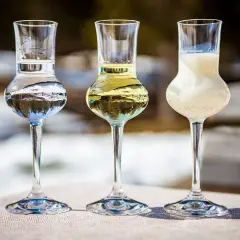Trzy kieliszki z różnymi trunkami, w tym jeden z mlecznym likierem, przypominają, co to jest grappa.