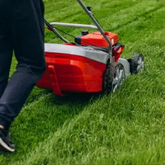 Osoba w ciemnych spodniach i butach sportowych pcha czerwoną kosiarkę. To pierwsze koszenie trawy w tym sezonie, trawnik jest bujny i zielony.