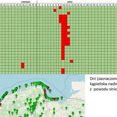 Bałtyk: Jaka woda? Zasolenie, temperatura, sinice pełna prawda