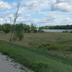 Asfaltowa ścieżka wzdłuż rzeki, idealna na spacer. Stężyca trasa oferuje piękne widoki na zieleń i wodę.