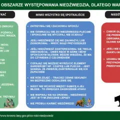 Piskliwy głos może zaalarmować niedźwiedzia. W lesie zachowaj się tak, by zwierzę cię usłyszało, mówiąc lub śpiewając.