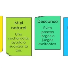 Consejos para aliviar la tos: vapor, miel natural, descanso y evitar irritantes.