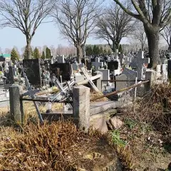 Dlaczego na cmentarzu nie śmierdzi? Oto tajemnice braku zapachów