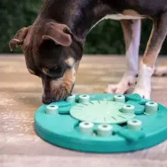 Perro concentrado resolviendo uno de los juegos mentales para perros, un juguete interactivo de color turquesa.