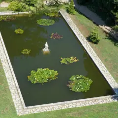 Bassin rectangulaire avec statue, nénuphars et végétation. Estimation du prix d'un bassin au m2 pour un tel aménagement paysager.
