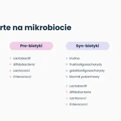 Terapie oparte na mikrobiocie: pre-biotyki (inulina, błonnik), pro-biotyki (bakterie), syn-biotyki (pre- i pro-biotyki) oraz post-biotyki.