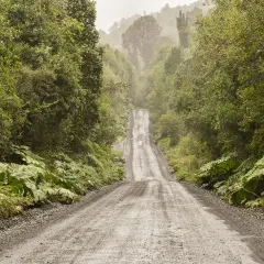 Camino de ripio ascendente rodeado de exuberante vegetación y niebla, evocando la aventura de la Carretera Austral.