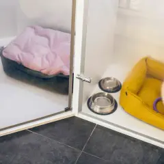 Jak wygląda hotel dla psów? Poznaj komfort i opiekę dla pupila