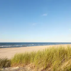 Spokojna, dzika plaża z piaskiem i trawą morską na pierwszym planie. W oddali widać spokojne morze i błękitne niebo z kilkoma chmurkami.