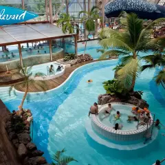 Ambiance tropicale à Aquaboulevard, avec ses piscines, jacuzzis et palmiers. Un lieu idéal pour profiter de l'eau, un vrai prix pour le plaisir.