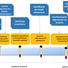 Schemat przedstawia etapy diagnostyki i monitorowania nowotworów, w tym klasyfikację TNM, profilowanie ctDNA i analizę zmian genetycznych.