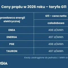 Ile kosztuje punkt elektryczny 2026? Ceny, koszty, porady